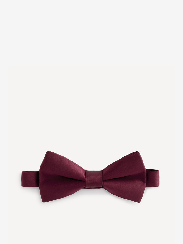 Celio Bibow2 Fliege