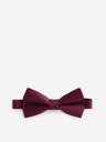 Celio Bibow2 Fliege