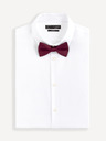 Celio Bibow2 Fliege