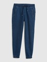 GAP Brushed Farrel Jogginghose