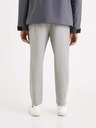 Celio Graue Herrenhose Celio 24H Avoclair