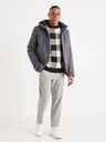 Celio Graue Herrenhose Celio 24H Avoclair