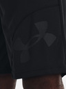Under Armour Herren Shorts Under Armour UA PERIMETER 11'' SHORT
