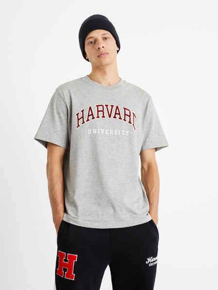 Celio Celio Harvard Universität graues T-Shirt