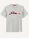 Celio Celio Harvard Universität graues T-Shirt