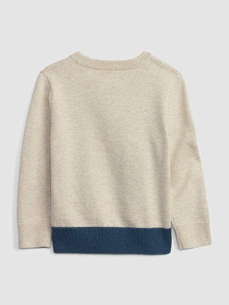 GAP Kinderpullover