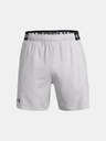 Under Armour Herren Under Armour UA Vanish Woven 6in Shorts