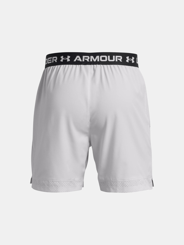 Under Armour Herren Under Armour UA Vanish Woven 6in Shorts