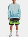 Under Armour Herren Shorts Under Armour Curry Collab Mesh Short