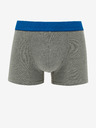 Replay Zweier-Set Herren-Boxershorts in schwarz und grau Replay