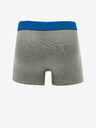 Replay Zweier-Set Herren-Boxershorts in schwarz und grau Replay