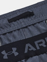Under Armour Herren Under Armour UA Vanish Woven 6in Shorts