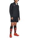 Under Armour Herren Under Armour UA M's Ch. Pro Woven Short