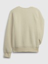 GAP Sweatshirt Kinder