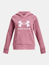 Under Armour Pink Hoodie Under Armour UA Rival Fleece BL Hoodie