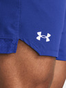 Under Armour Herren Under Armour UA Vanish Woven 6in Shorts