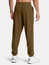 Under Armour Herren Under Armour UA Vibe Woven Jogger