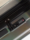 Heys Astro L Luggage