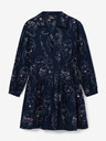 Desigual Desigual Louisville Hemdblusenkleid mit Muster