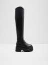 Aldo Carelden Ankle Boots