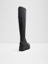 Aldo Carelden Ankle Boots