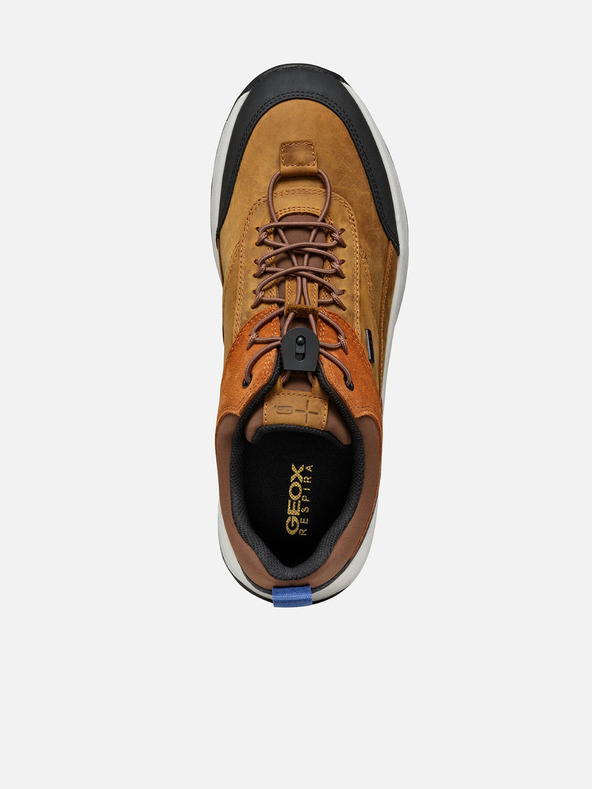 Geox Orange Herren Geox Sterratrail + Grip Turnschuhe