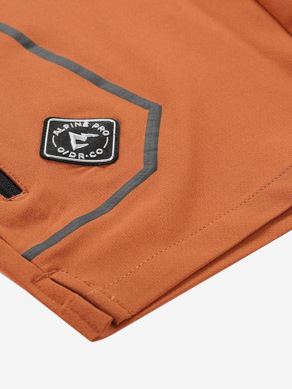 ALPINE PRO Zamb Shorts