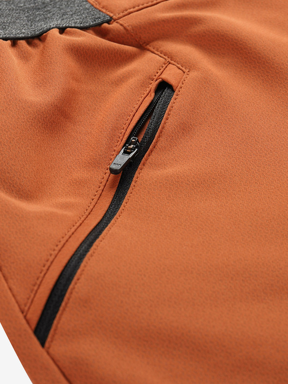 ALPINE PRO Zamb Shorts