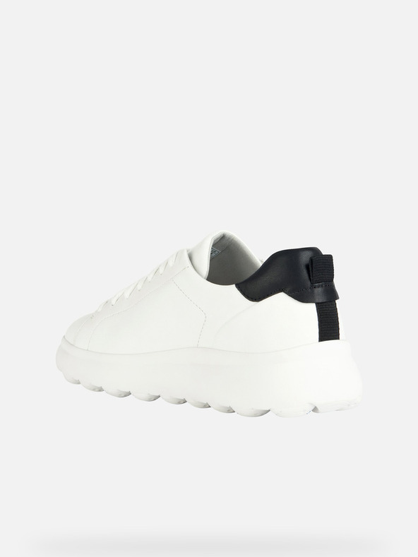 Geox Weiß Herren Geox Spherica EC4.1 Turnschuhe