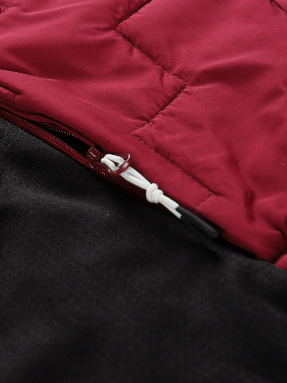 ALPINE PRO Jorwa Hoodie