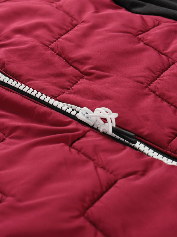 ALPINE PRO Jorwa Hoodie