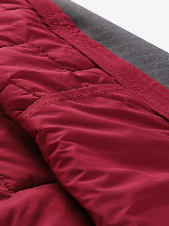 ALPINE PRO Jorwa Hoodie