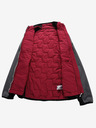ALPINE PRO Jorwa Hoodie