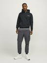 Jack & Jones Jack & Jones Herren Kapuzenpullover schwarz
