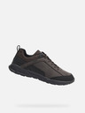 Geox Braun Herren Turnschuhe Geox Sanzio