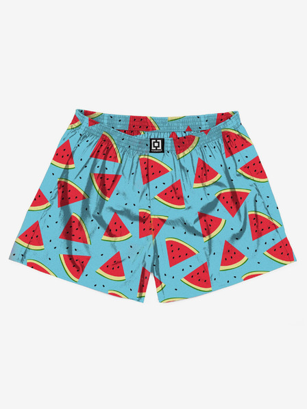 Horsefeathers Manny Shorts - Melone Pferdefedern