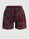 Horsefeathers Horsefeathers Sony grau und rot karierte Shorts