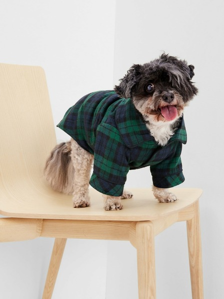 GAP Karierter Schlafanzug für den Hund GAP
