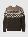 GAP Fair Isle Wool Blend Sweater