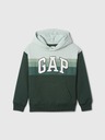 GAP Jungen-Sweatshirt mit Logo und Fleece GAP