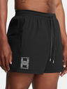 Under Armour Herren Under Armour UA RUN ANYWHERE SHORTS
