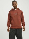 Jack & Jones Brauner Jack & Jones Kapuzenpullover für Männer