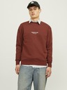 Jack & Jones Brauner Jack & Jones JORVESTERBRO Herren-Kapuzenpullover