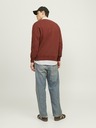 Jack & Jones Brauner Jack & Jones JORVESTERBRO Herren-Kapuzenpullover
