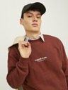 Jack & Jones Brauner Jack & Jones JORVESTERBRO Herren-Kapuzenpullover