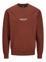 Jack & Jones Brauner Jack & Jones JORVESTERBRO Herren-Kapuzenpullover