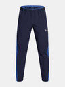 Under Armour Under Armour UA Woven Utility-Hose für Männer-BLU
