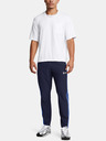 Under Armour Under Armour UA Woven Utility-Hose für Männer-BLU