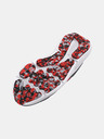 Under Armour Shoes Under Armour UA BGS Assert 10-GRY
