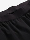 ALPINE PRO Schnelltrocknende Herrenhose ALPINE PRO ZEREC schwarz